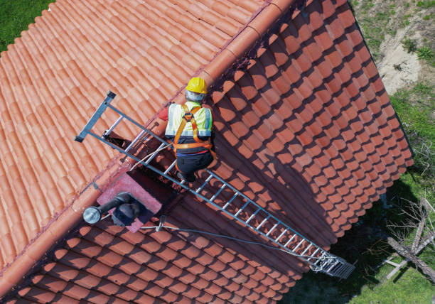 Best Chimney Flashing Repair  in Somerville, TX